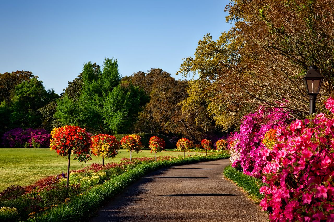 Florida garden landscape
